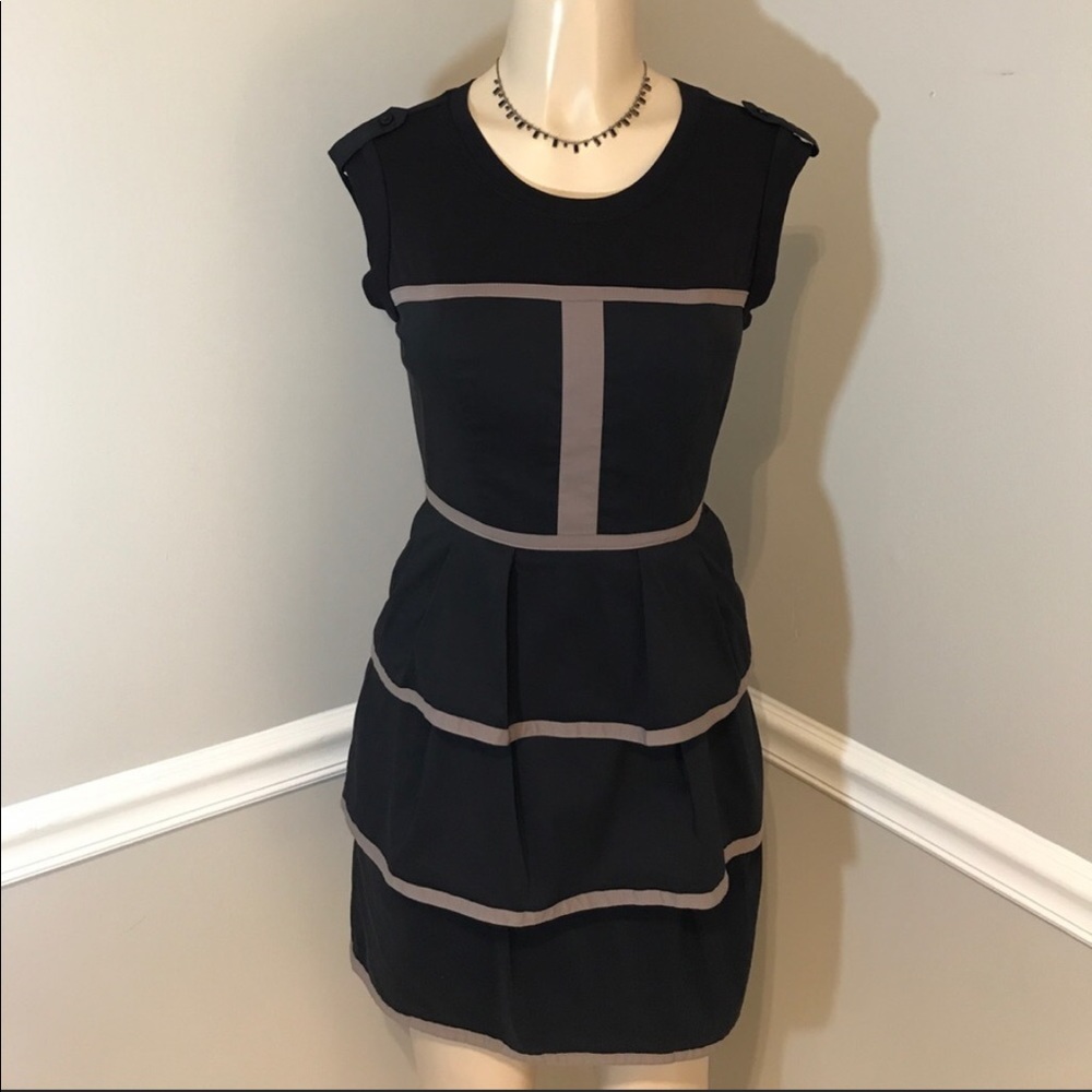 BCBG Maxazria Lined Structured Dress